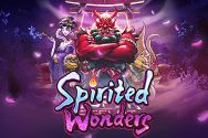 SPIRITED WONDERS